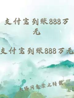 支付宝到账888万元