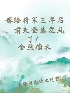 嫁给将军三年后，前夫登基发疯了！