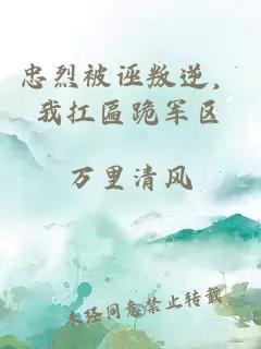 忠烈被诬叛逆，我扛匾跪军区