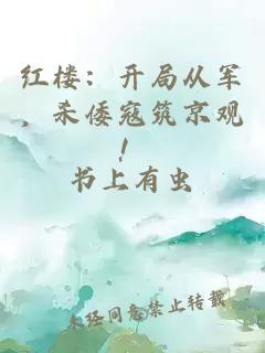 红楼：开局从军，杀倭寇筑京观！