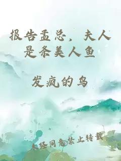 报告孟总，夫人是条美人鱼