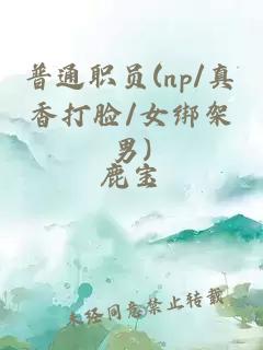 普通职员(np/真香打脸/女绑架男)