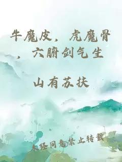 牛魔皮，虎魔骨，六腑剑气生