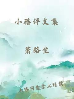 小骆评文集