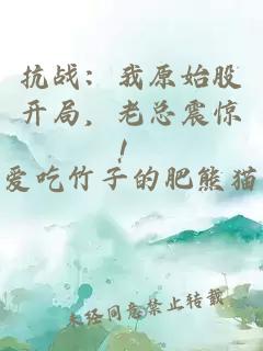 抗战：我原始股开局，老总震惊！