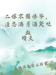 二嫁京圈佛爷，渣总满月酒哭吐血