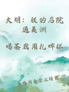 大明：朕的后院通美洲