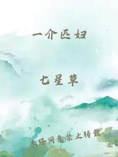 一介匹妇