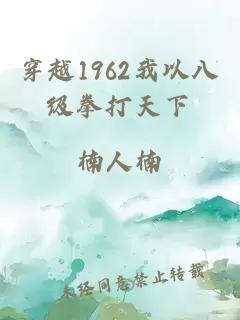 穿越1962我以八级拳打天下