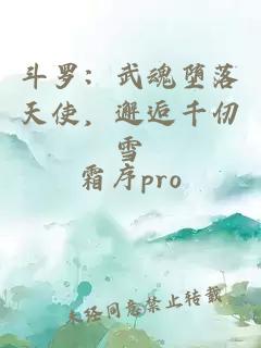 斗罗：武魂堕落天使，邂逅千仞雪