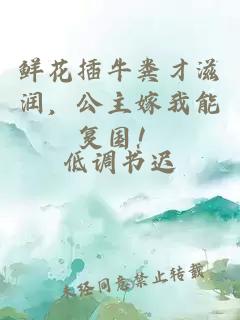 鲜花插牛粪才滋润，公主嫁我能复国！