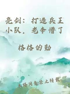 亮剑：打造兵王小队，老李懵了