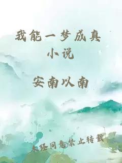 我能一梦成真 小说