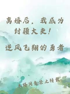 离婚后，我成为封疆大吏！