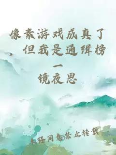 像素游戏成真了，但我是通缉榜一