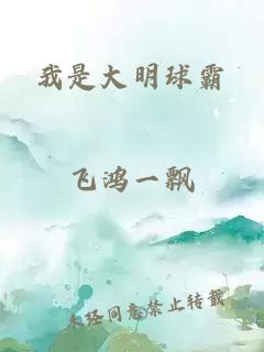 我是大明球霸