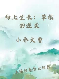 向上生长：草根的逆袭