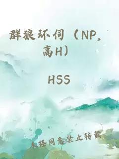 群狼环伺（NP，高H）